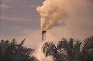 تحقیق اثرات آلودگی هوا بر انسان ها و محیط زیست